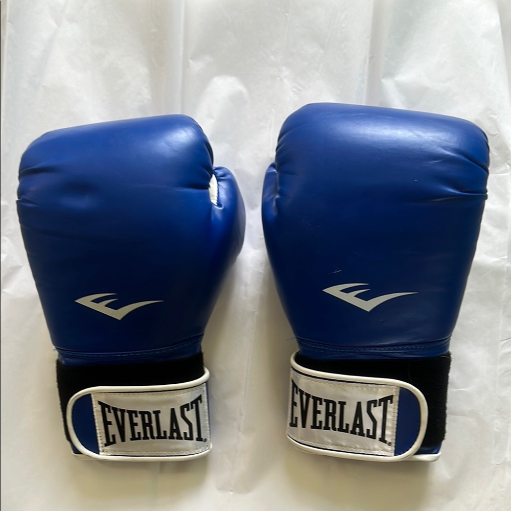 Everlast Royal Blue Training Gloves